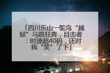 四川乐山一鸵鸟“越狱”马路狂奔，目击者：时速超40码，还对我“笑”了下