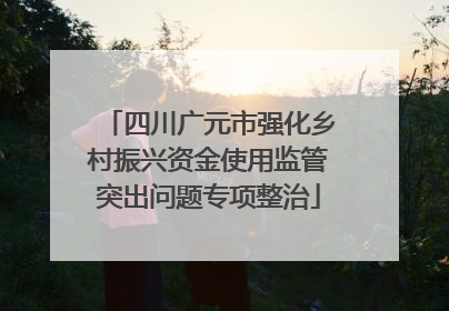 四川广元市强化乡村振兴资金使用监管突出问题专项整治