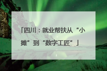 四川：就业帮扶从“小摊”到“数字工匠”