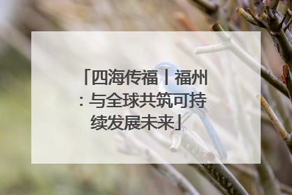 四海传福丨福州：与全球共筑可持续发展未来