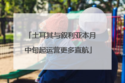 土耳其与叙利亚本月中旬起运营更多直航
