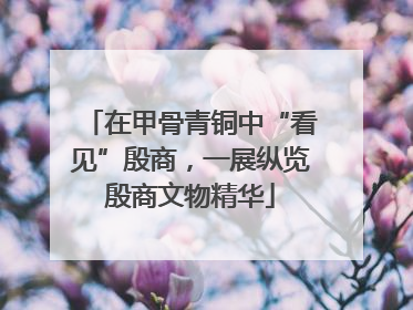 在甲骨青铜中“看见”殷商，一展纵览殷商文物精华