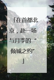 在首都北京，赴一场与月季的“倾城之约”