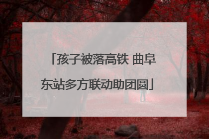 孩子被落高铁 曲阜东站多方联动助团圆