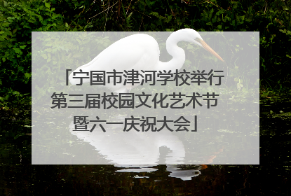 宁国市津河学校举行第三届校园文化艺术节暨六一庆祝大会