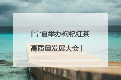 宁夏举办枸杞红茶高质量发展大会