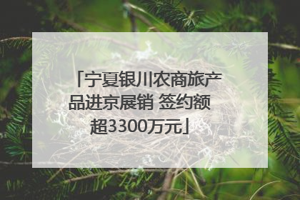 宁夏银川农商旅产品进京展销 签约额超3300万元
