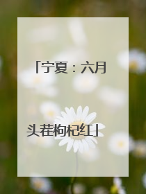 宁夏：六月头茬枸杞红