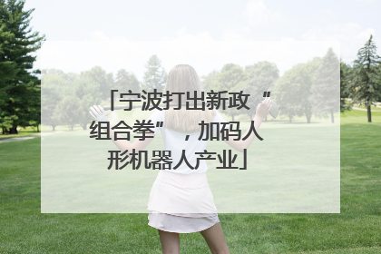 宁波打出新政“组合拳”，加码人形机器人产业