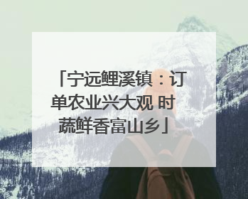 宁远鲤溪镇：订单农业兴大观 时蔬鲜香富山乡