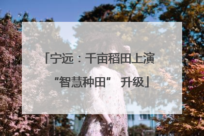 宁远：千亩稻田上演 “智慧种田” 升级