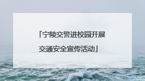 宁陵交警进校园开展交通安全宣传活动