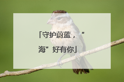 守护蔚蓝，“海”好有你