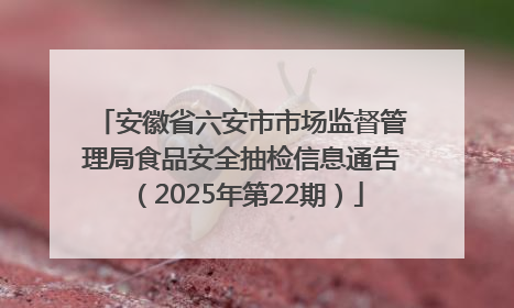 安徽省六安市市场监督管理局食品安全抽检信息通告（2025年第22期）