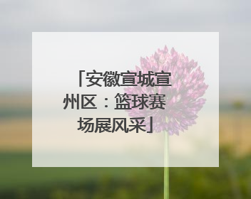 安徽宣城宣州区：篮球赛场展风采