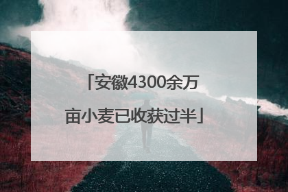 安徽4300余万亩小麦已收获过半