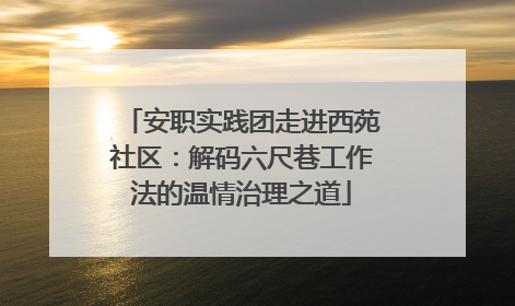 安职实践团走进西苑社区：解码六尺巷工作法的温情治理之道