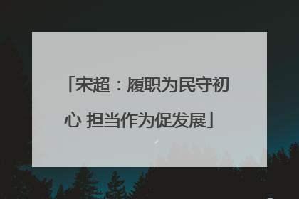 宋超：履职为民守初心 担当作为促发展