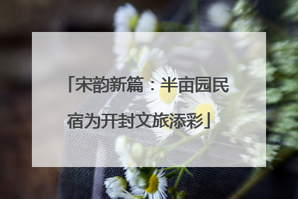 宋韵新篇：半亩园民宿为开封文旅添彩