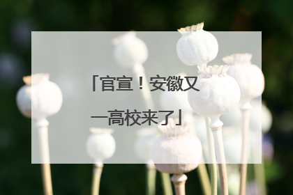 官宣！安徽又一高校来了
