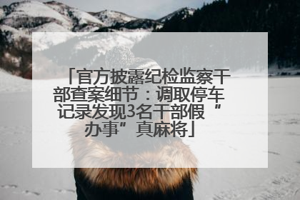 官方披露纪检监察干部查案细节：调取停车记录发现3名干部假“办事”真麻将