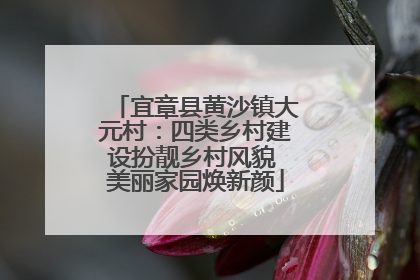 宜章县黄沙镇大元村：四类乡村建设扮靓乡村风貌 美丽家园焕新颜