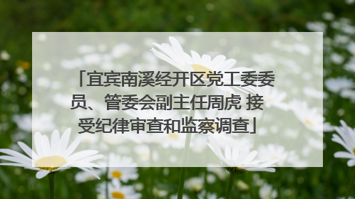 宜宾南溪经开区党工委委员、管委会副主任周虎 接受纪律审查和监察调查