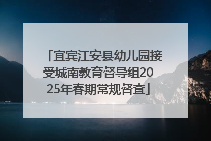 宜宾江安县幼儿园接受城南教育督导组2025年春期常规督查