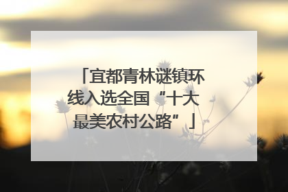 宜都青林谜镇环线入选全国“十大最美农村公路”