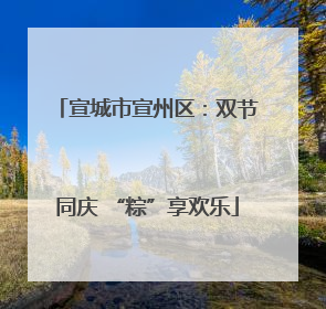 宣城市宣州区：双节同庆 “粽”享欢乐