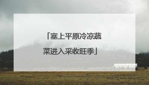 塞上平原冷凉蔬菜进入采收旺季