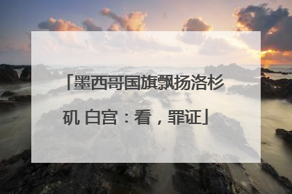 墨西哥国旗飘扬洛杉矶 白宫：看，罪证