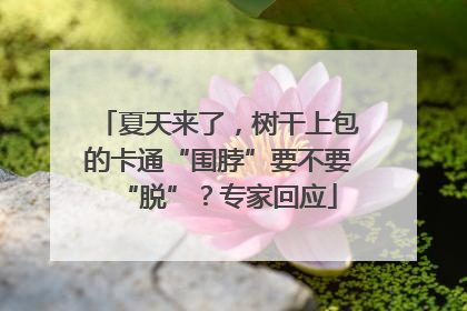 夏天来了，树干上包的卡通“围脖”要不要“脱”？专家回应