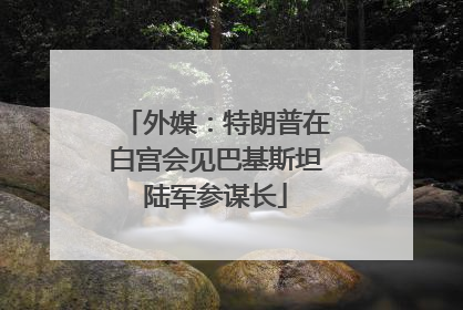 外媒：特朗普在白宫会见巴基斯坦陆军参谋长