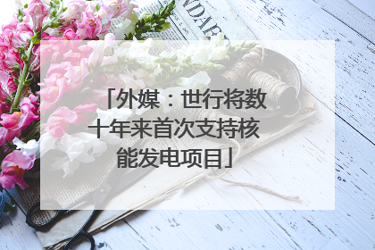 外媒：世行将数十年来首次支持核能发电项目