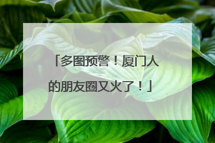 多图预警！厦门人的朋友圈又火了！