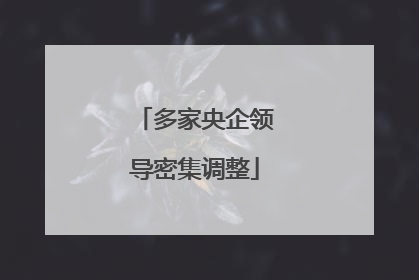 多家央企领导密集调整