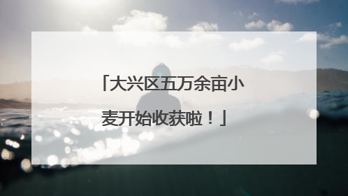 大兴区五万余亩小麦开始收获啦！