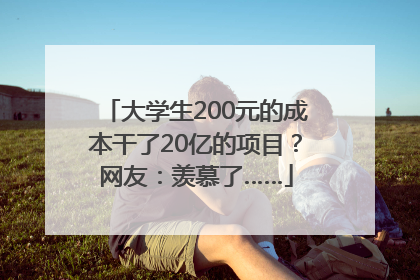 大学生200元的成本干了20亿的项目？网友：羡慕了……
