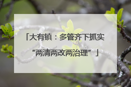 大有镇：多管齐下抓实“两清两改两治理”