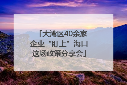 大湾区40余家企业“盯上”海口这场政策分享会