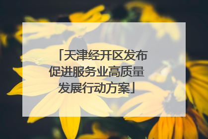 天津经开区发布促进服务业高质量发展行动方案