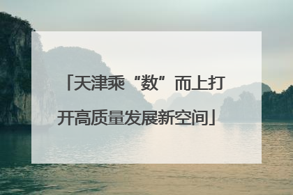 天津乘“数”而上打开高质量发展新空间