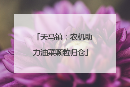 天马镇：农机助力油菜颗粒归仓