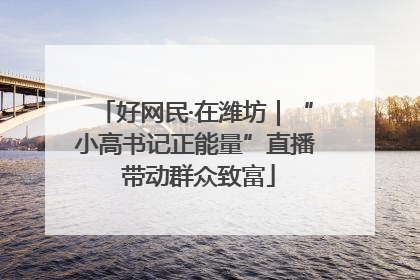好网民·在潍坊｜“小高书记正能量”直播 带动群众致富