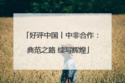 好评中国丨中非合作：典范之路 续写辉煌