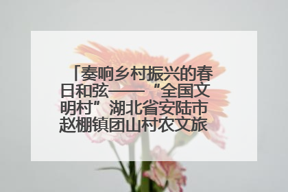 奏响乡村振兴的春日和弦——“全国文明村”湖北省安陆市赵棚镇团山村农文旅融合发展见闻