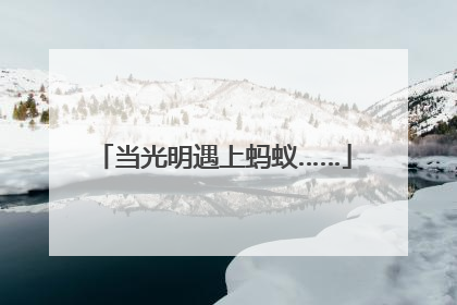 当光明遇上蚂蚁……