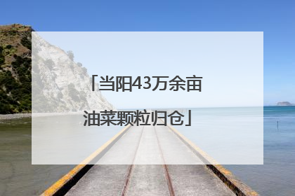 当阳43万余亩油菜颗粒归仓