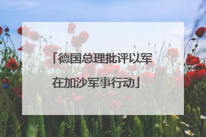 德国总理批评以军在加沙军事行动